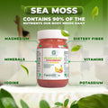 Strawberry Banana + Mango Sea Moss Gel - CGI Green