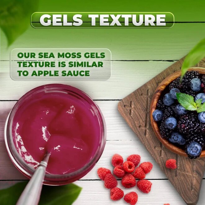 Tropical Fusion Bundle - CGI Green