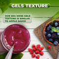 Tropical Fusion Bundle - CGI Green