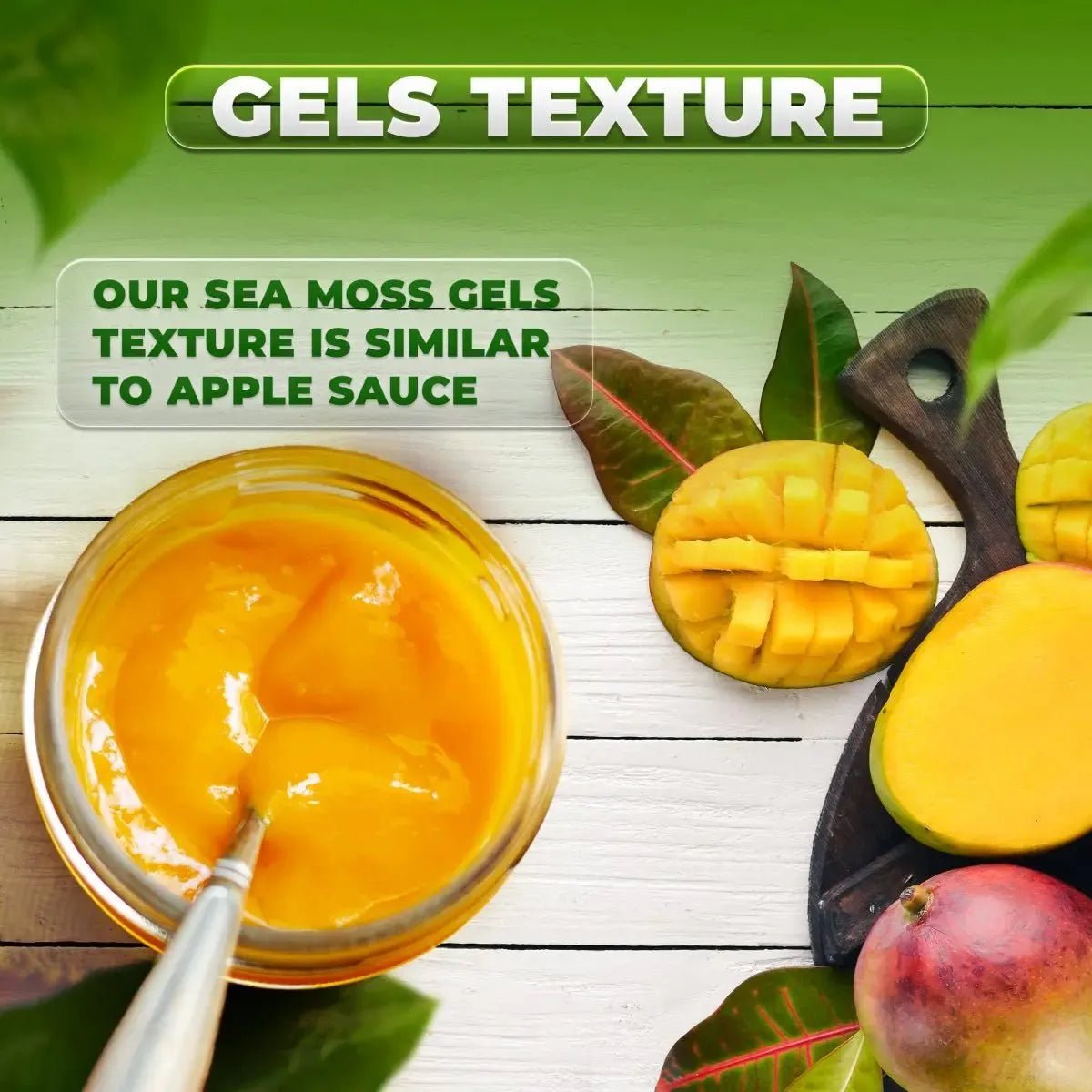 Tropical Fusion Bundle - CGI Green
