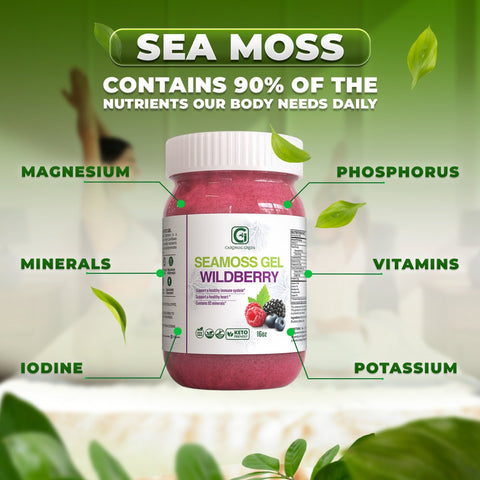 Wildberry Sea Moss Gel - CGI Green