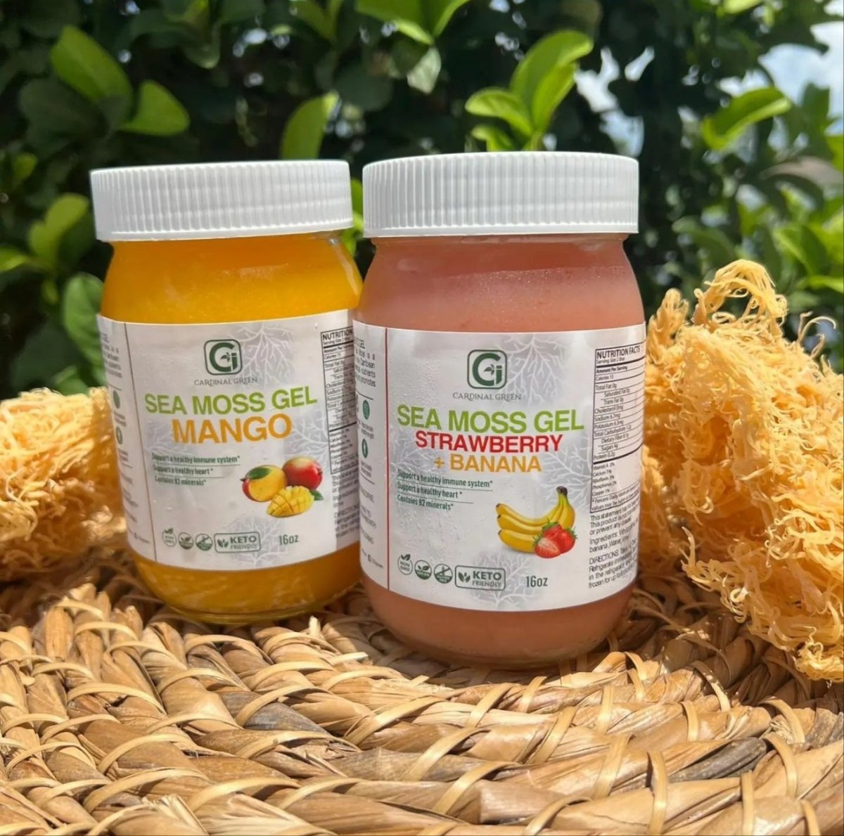 1-16oz Strawberry Banana & Mango Sea Moss Gel - CGI Green
