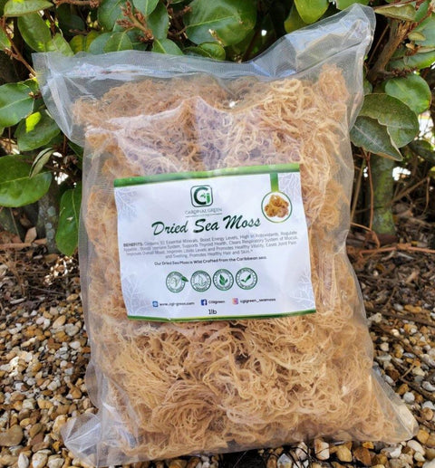 1lb Gold Dried Natural Sea Moss - CGI Green