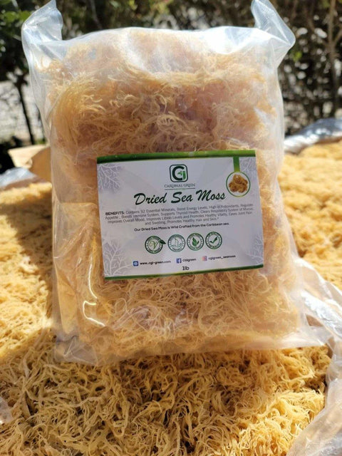 1lb Gold Dried Natural Sea Moss - CGI Green