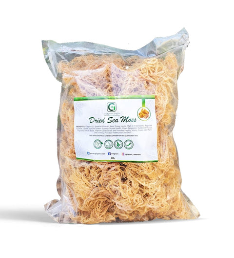 1lb Gold Dried Natural Sea Moss - CGI Green