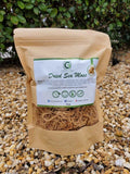 4oz Gold Dried Natural Sea Moss - CGI Green