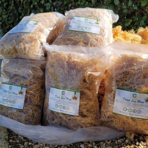 5lb - 25lb + Dried Wildcrafted Gold Sea Moss - Bulk Orders - Whole Sale - CGI Green