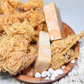 5oz Ocean Gold Sea Moss Soap - CGI Green