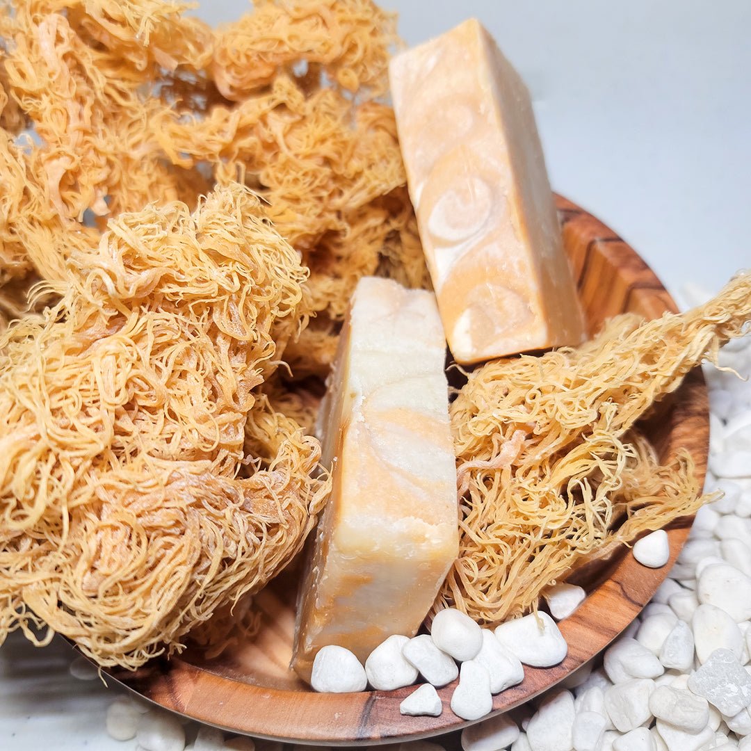 5oz Ocean Gold Sea Moss Soap - CGI Green