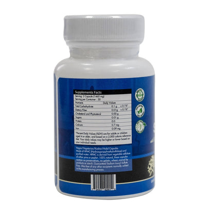 60 Natural Sea Moss With Bladderwrack & Burdock Root Capsules - CGI Green