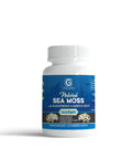 60ct Natural Sea Moss With Bladderwrack & Burdock Root Supplements 1460mg - CGI Green