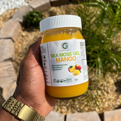 Mango Sea Moss Gel
