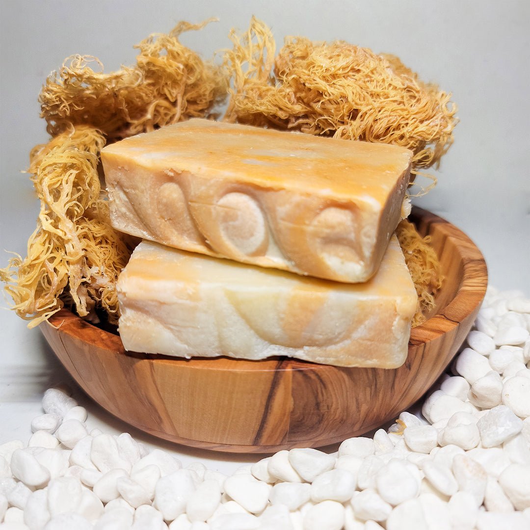Sea Moss Soap Bundle - CGI Green