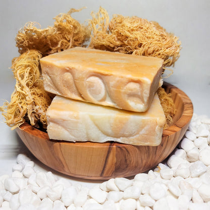 Sea Moss Soap Bundle - CGI Green