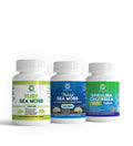 Supplements Bundle - CGI Green