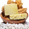 Wholesale Ocean Gold Sea Moss Soap - CGI Green